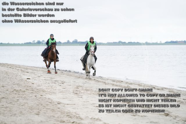 s_K3F04820.JPG